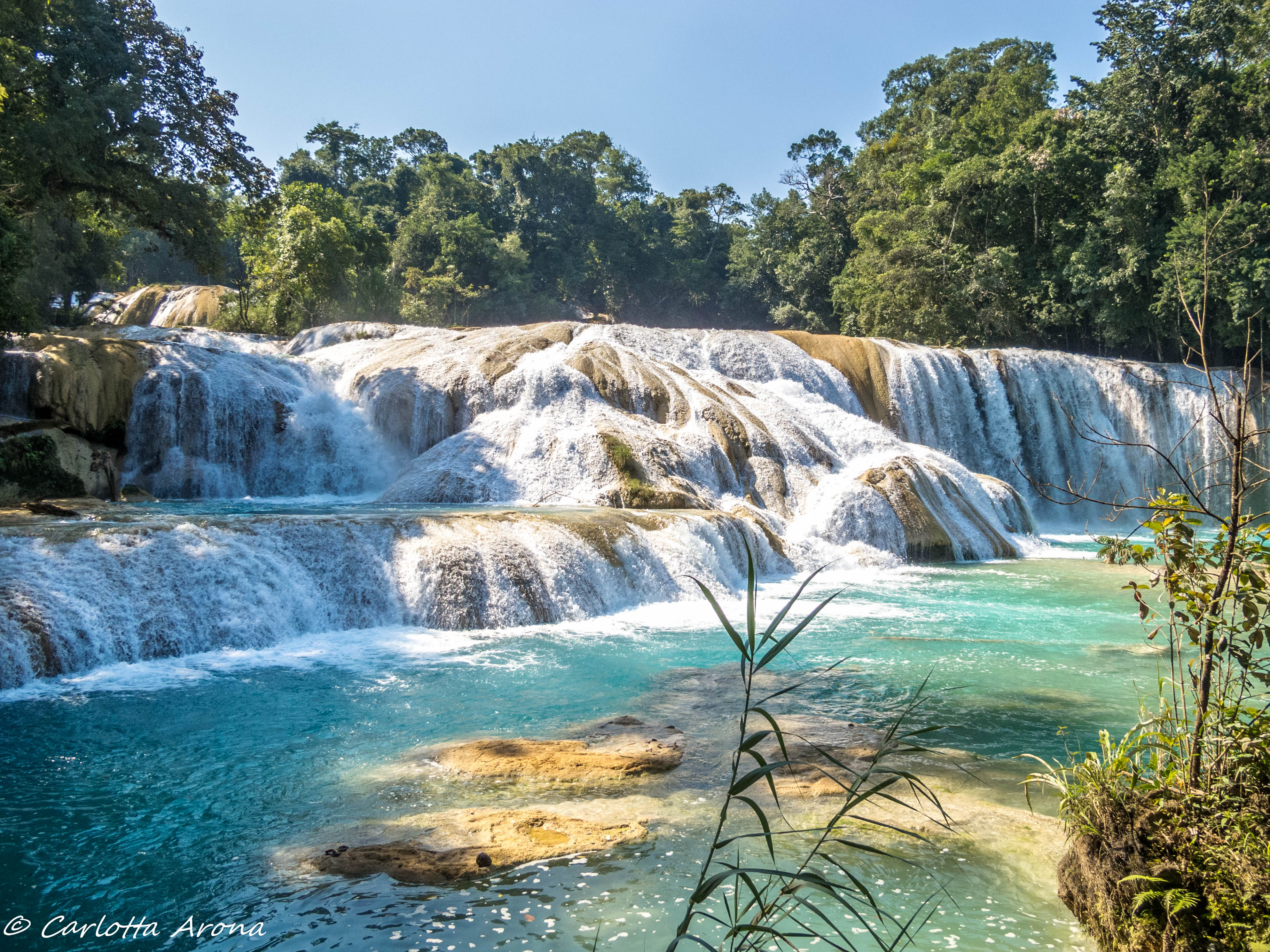 cascadas de agua azul chiapas mexico