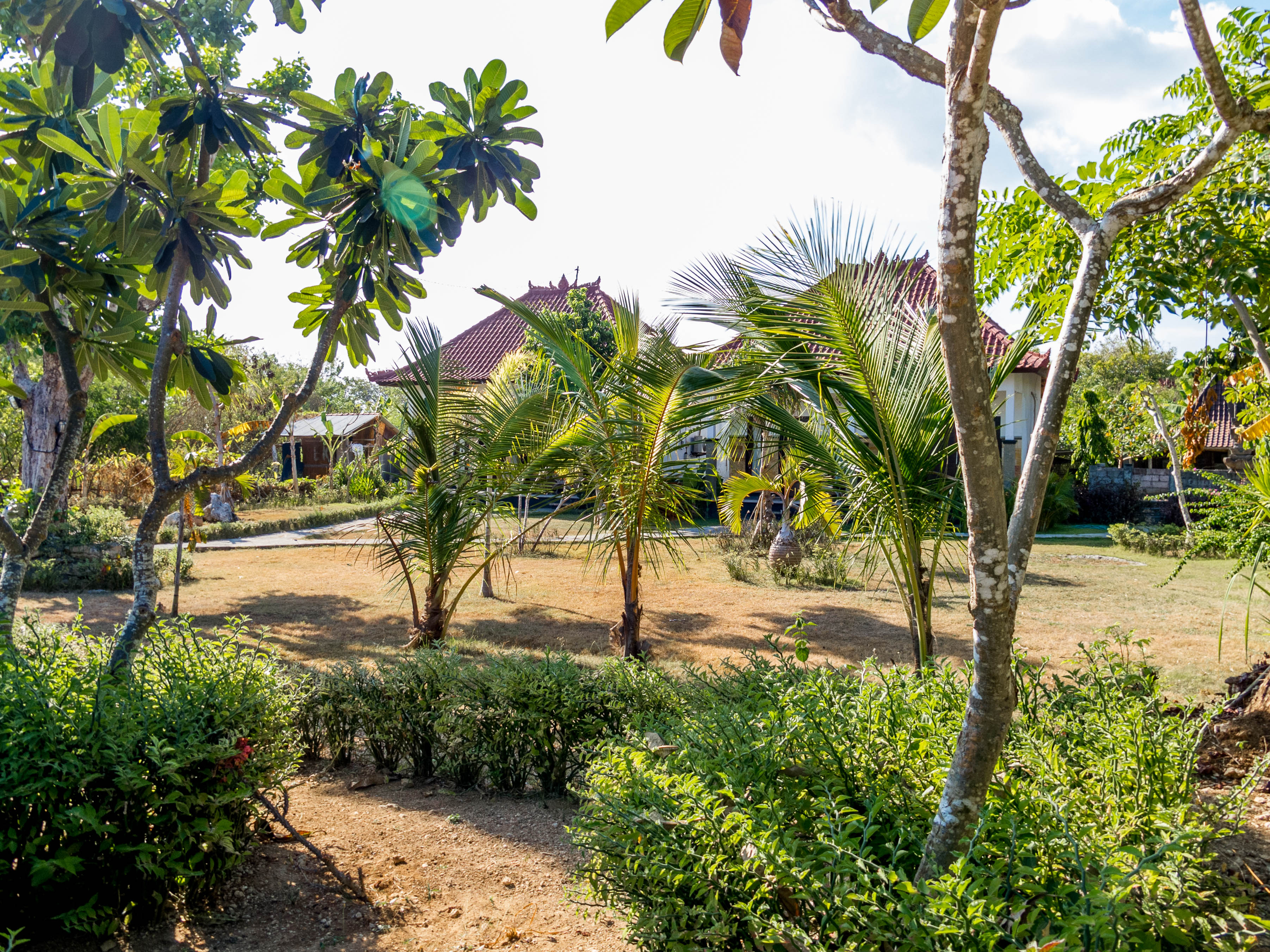 Kubu Sunset Garden, Accommodation Nusa Lembongan